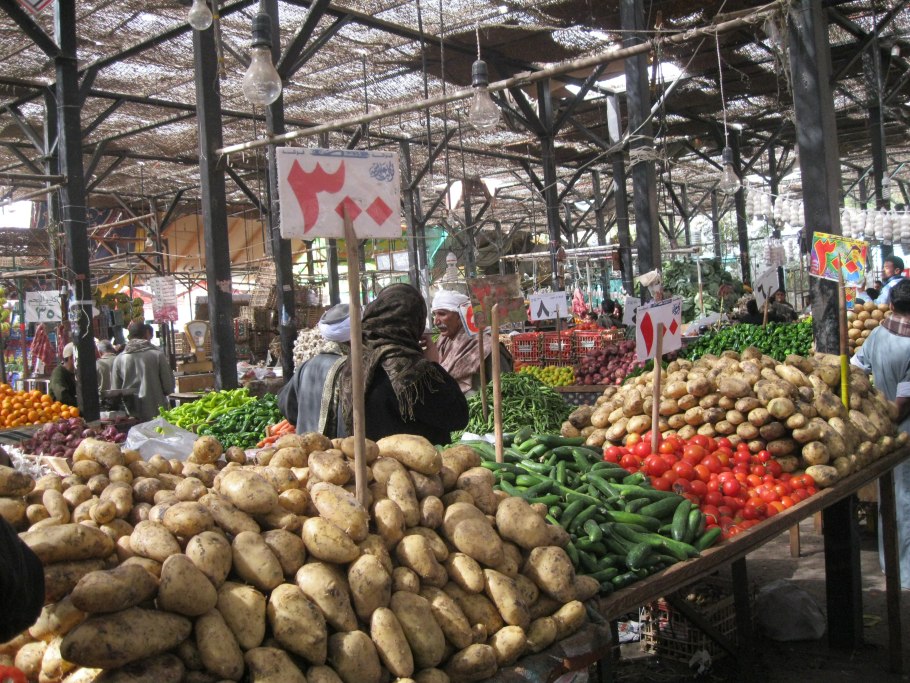 В Египте растет картошка