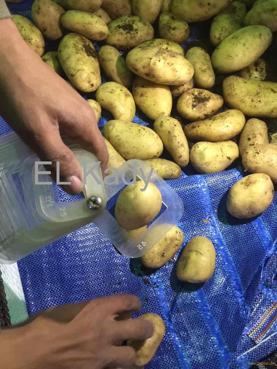 Китайская картошка