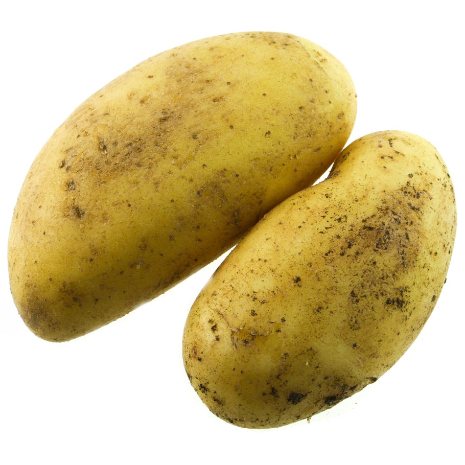 Картофель Египетский молодой