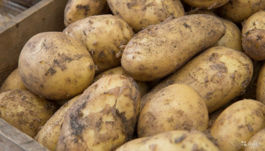 Картофель Египетский 1кг
