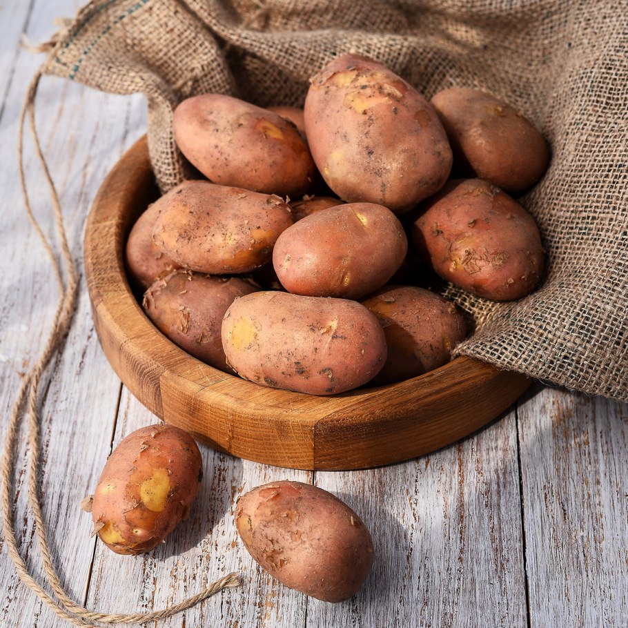 Поля картофеля в Египте