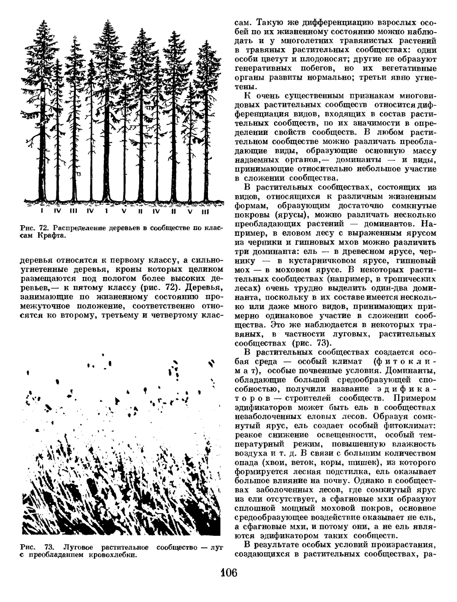 Короткокорневищные растения