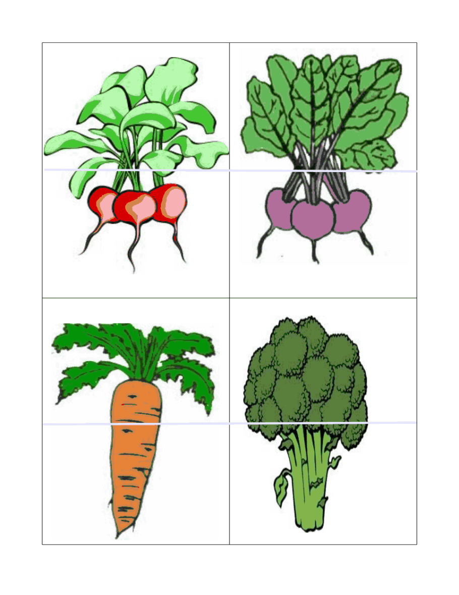 Костяника обыкновенная стебель