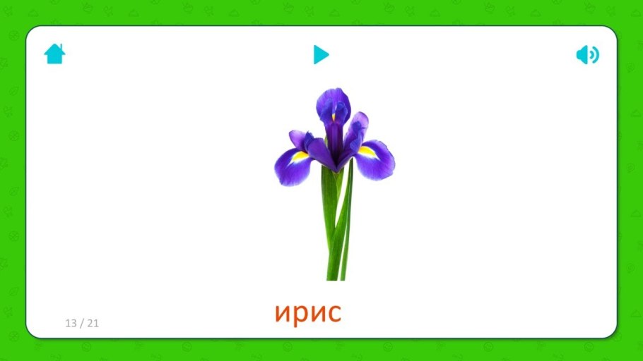 Строение цветка для малышей