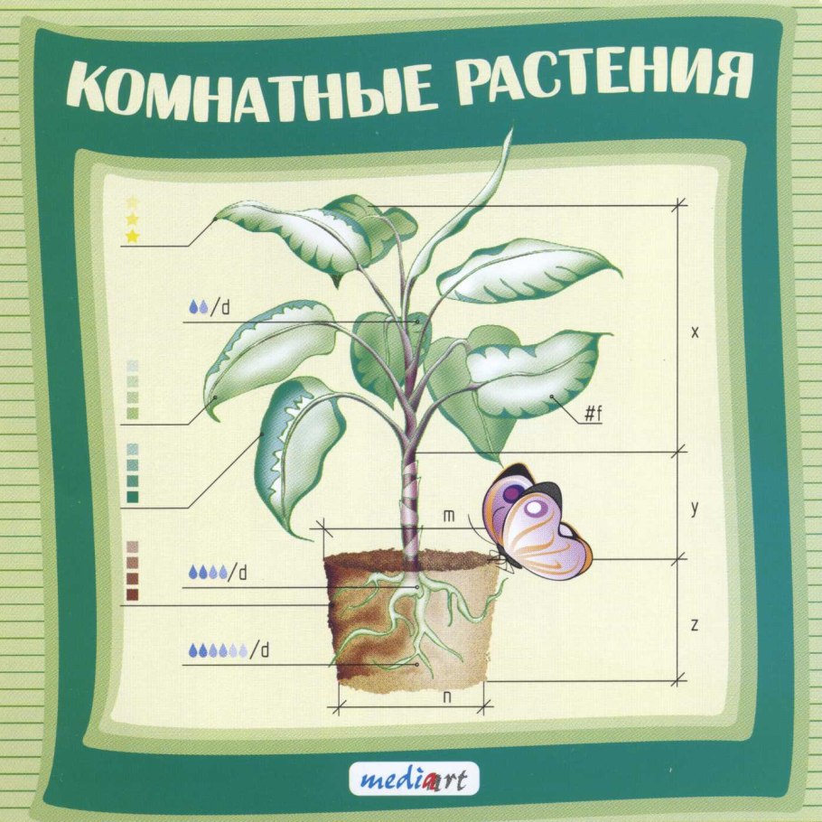 Задания по биологии 7 класс