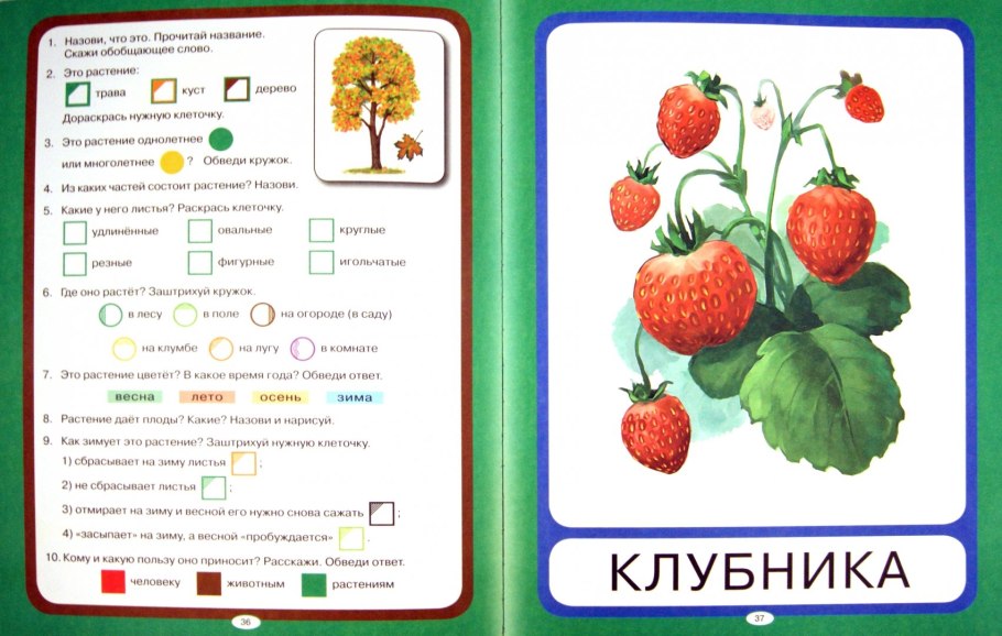 Весенние цветы задания