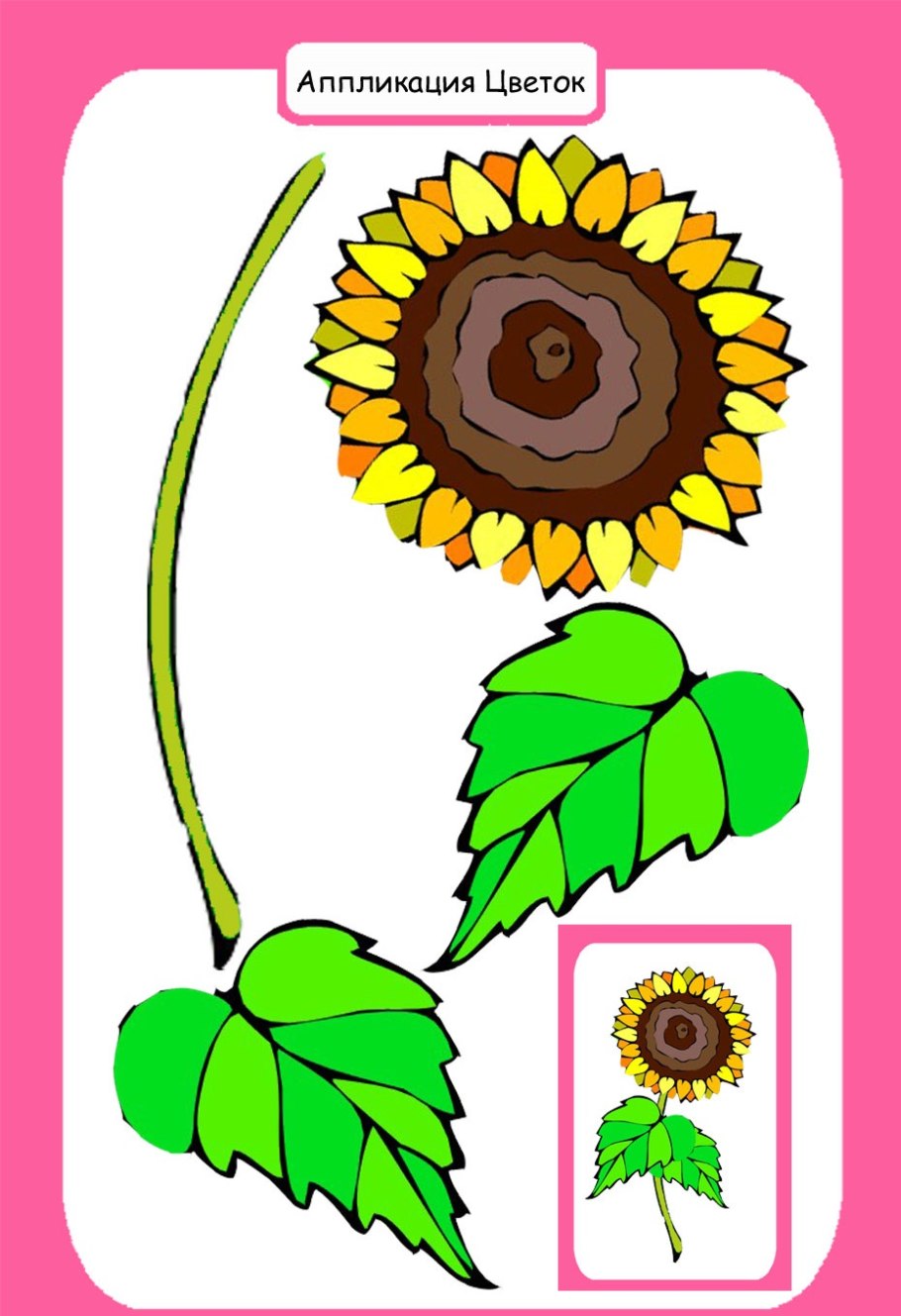 Земляника части растения