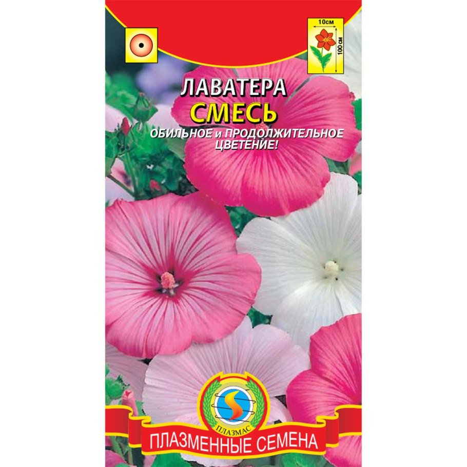 Лаватера Сильвер кап