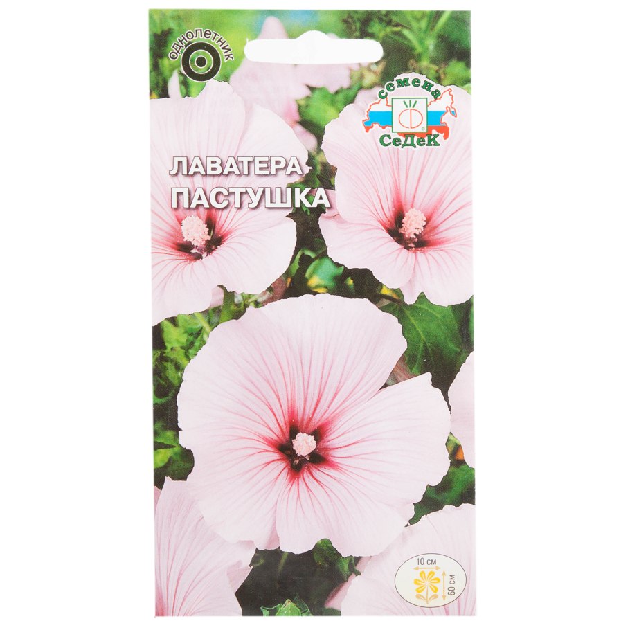 Малопа Глейсер