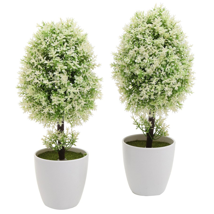 Чайное дерево мелалеука