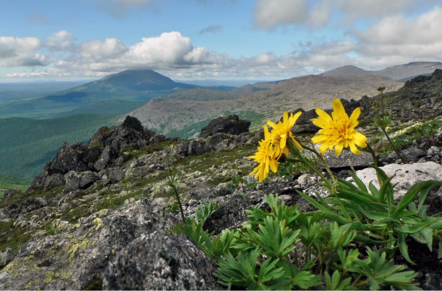 Конжаковский камень заповедник
