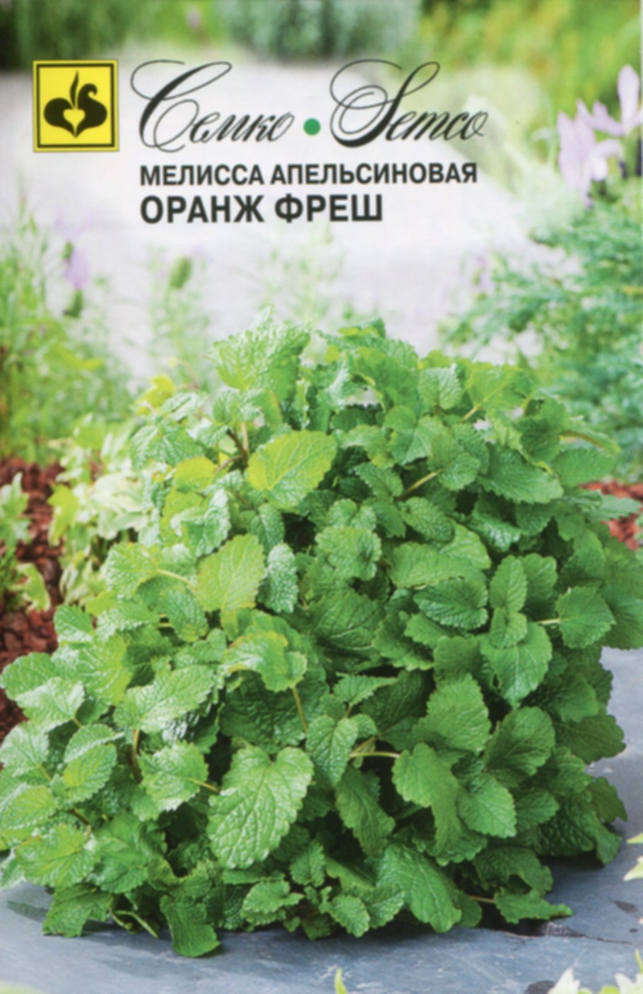 Мелисса апельсиновая оранж Фреш