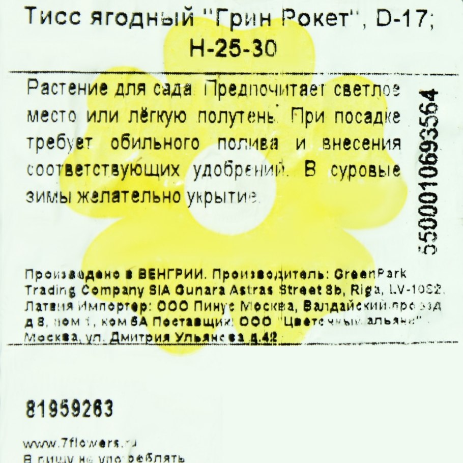 Тис ягодный Фастигиата