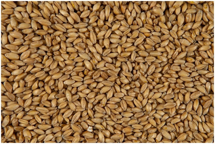 Крупа пшеничная полба
