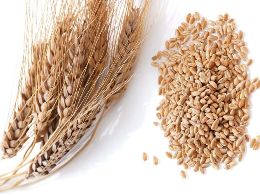 Крупа пшеничная мелкодробленая