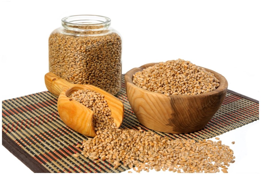 Пшеница камут