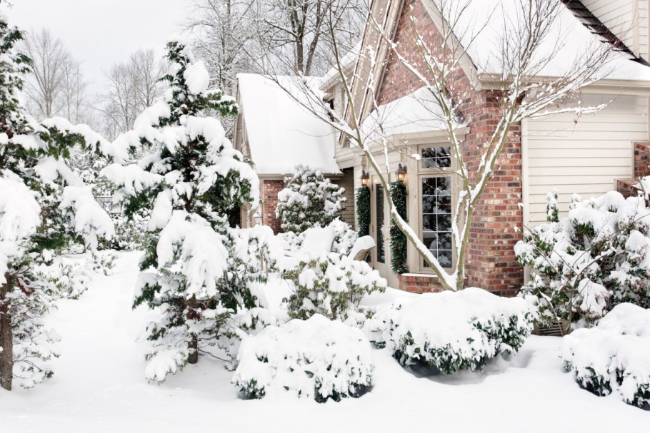 Красивый сад зимой