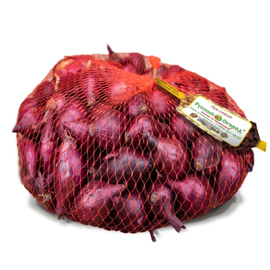 Лук-севок ред Барон