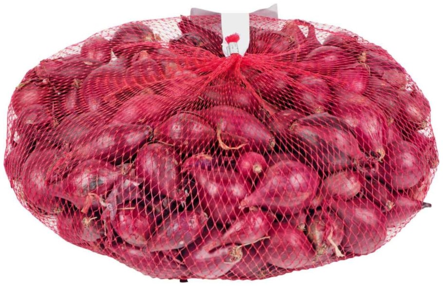 Лук репчатый Кармен МС (1г)