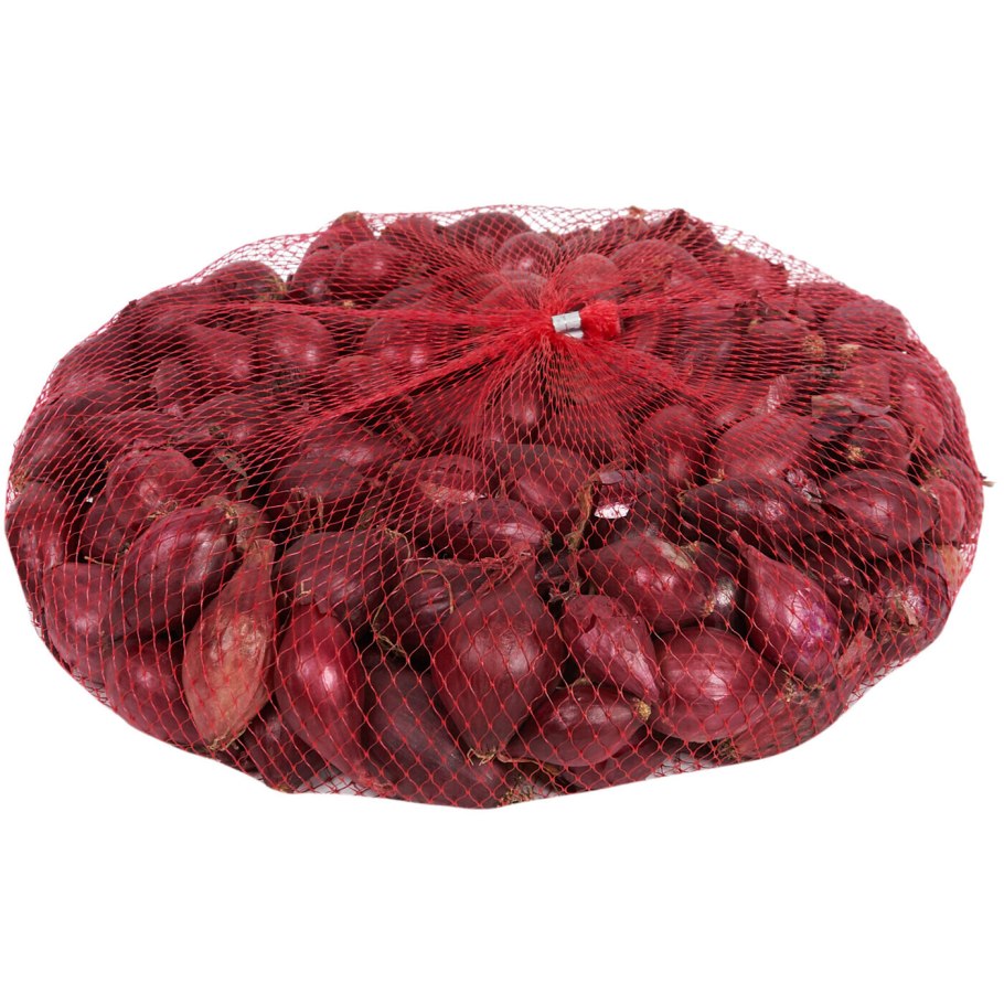 Лук севок кармен