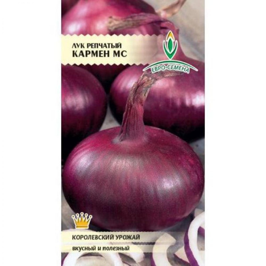 Лук Кармен 0,5г (семена от Ганичкиной) ботаника