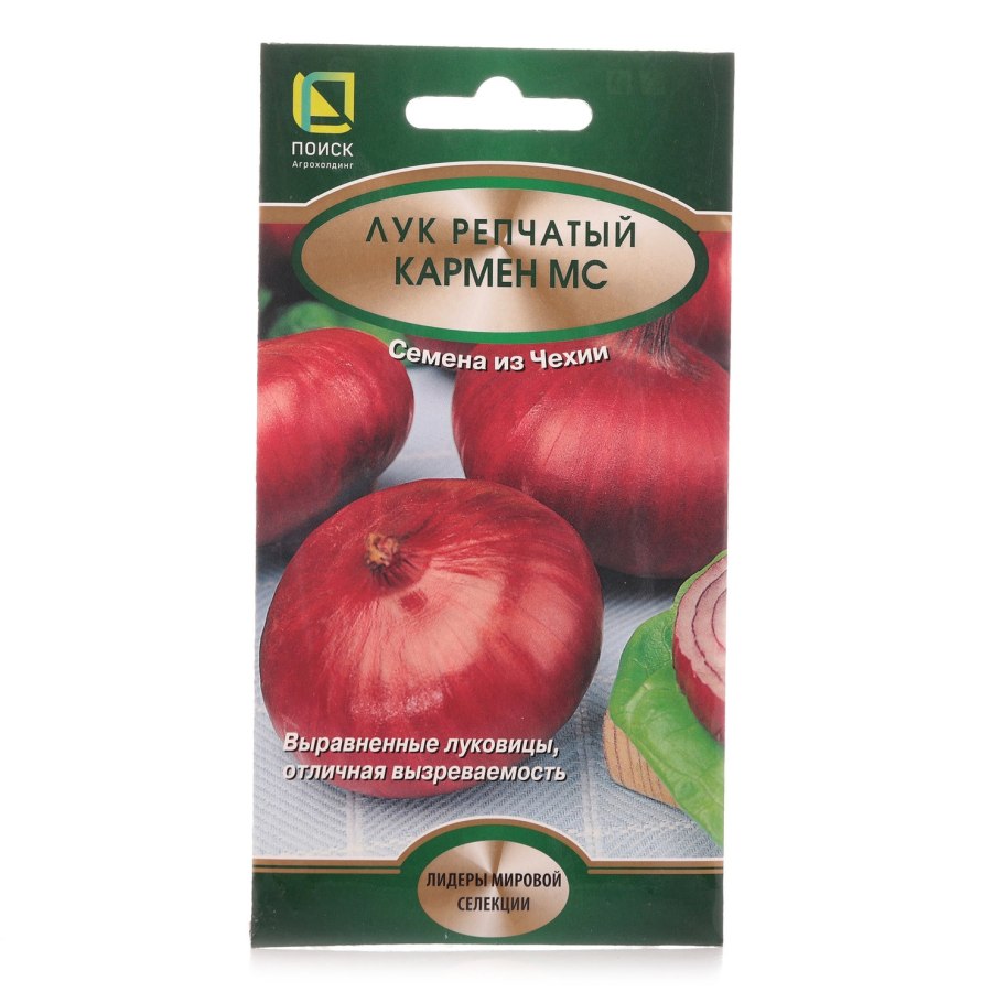 Лук-севок ред Кармен