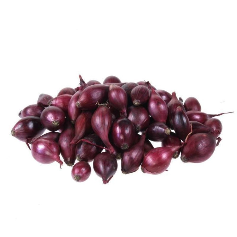 Лук севок Кармен