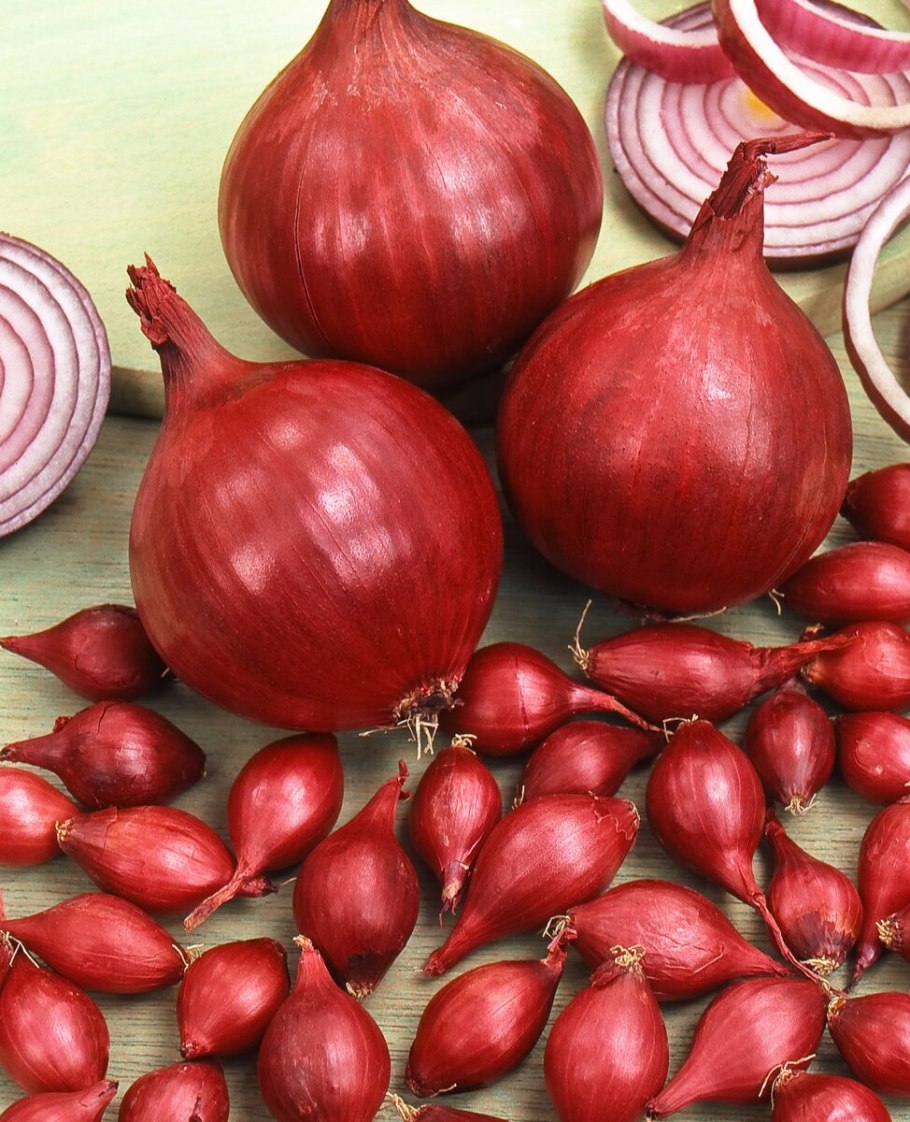 Семена лука Кармен МС 0,5 Г