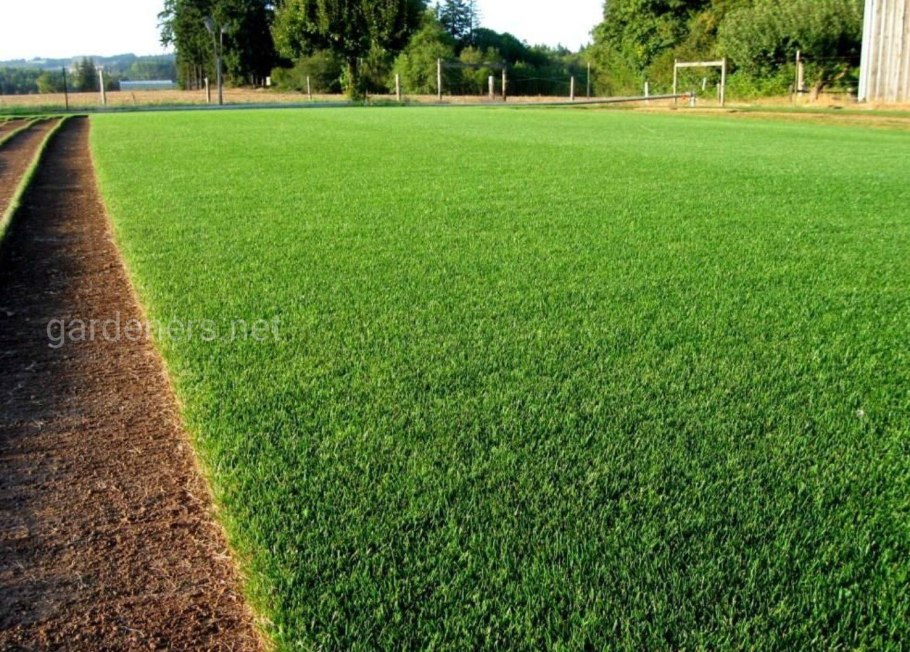 Разложен газон