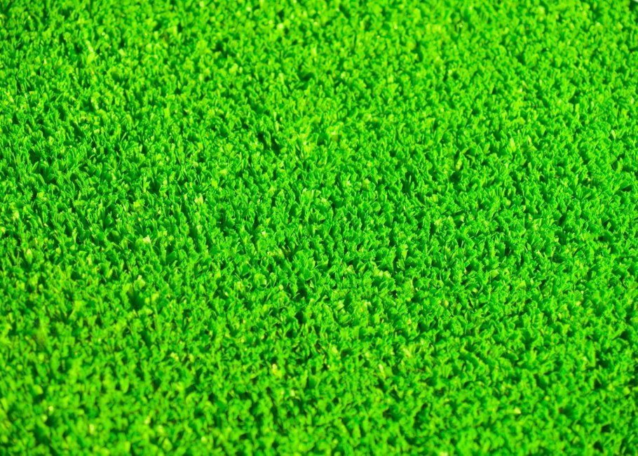 Семена газона реклама