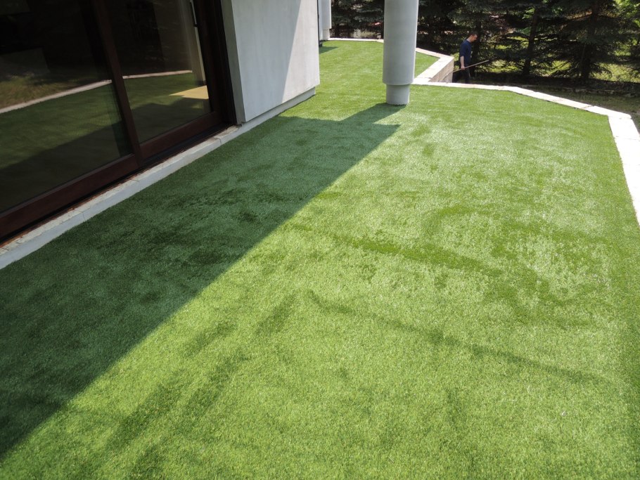 Многолетняя трава для газона