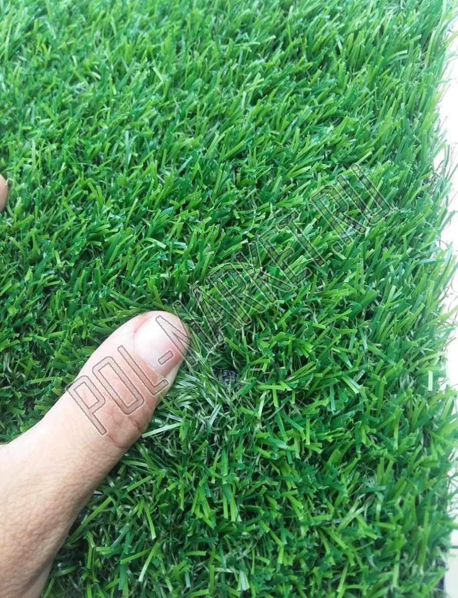 Канада Грин газонная трава