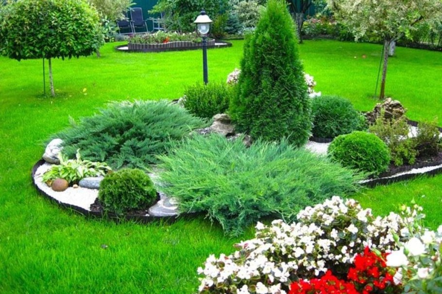 Миксбордеры с хвойниками