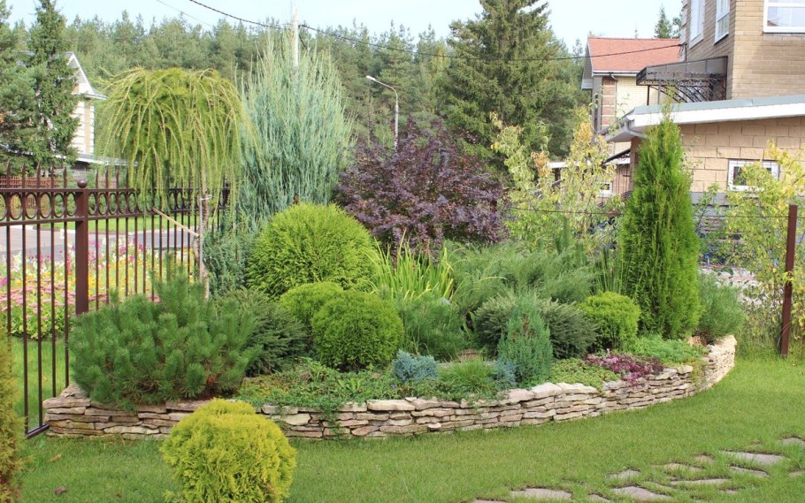 Туя можжевельник ландш