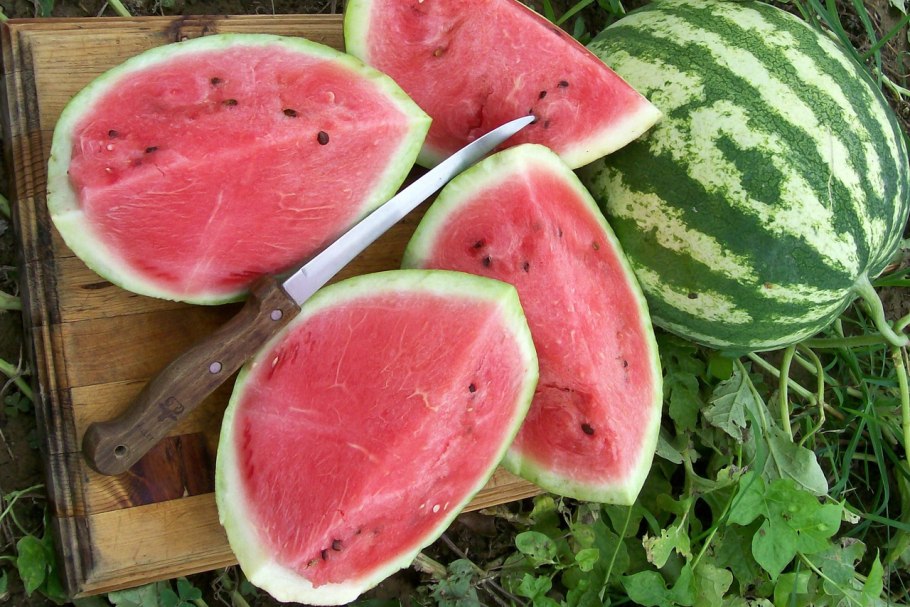 Два арбуза
