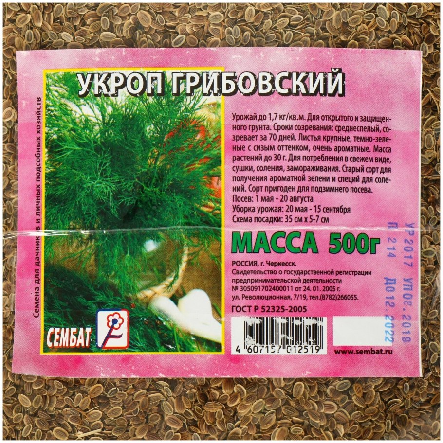 Тыква семена Агроуспех