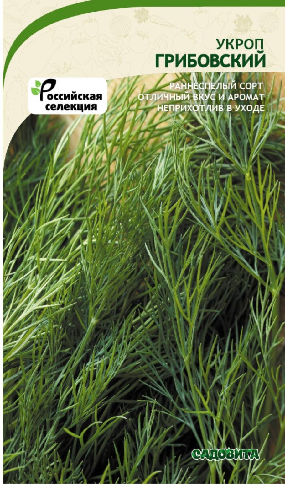 Укроп Грибовский Семко