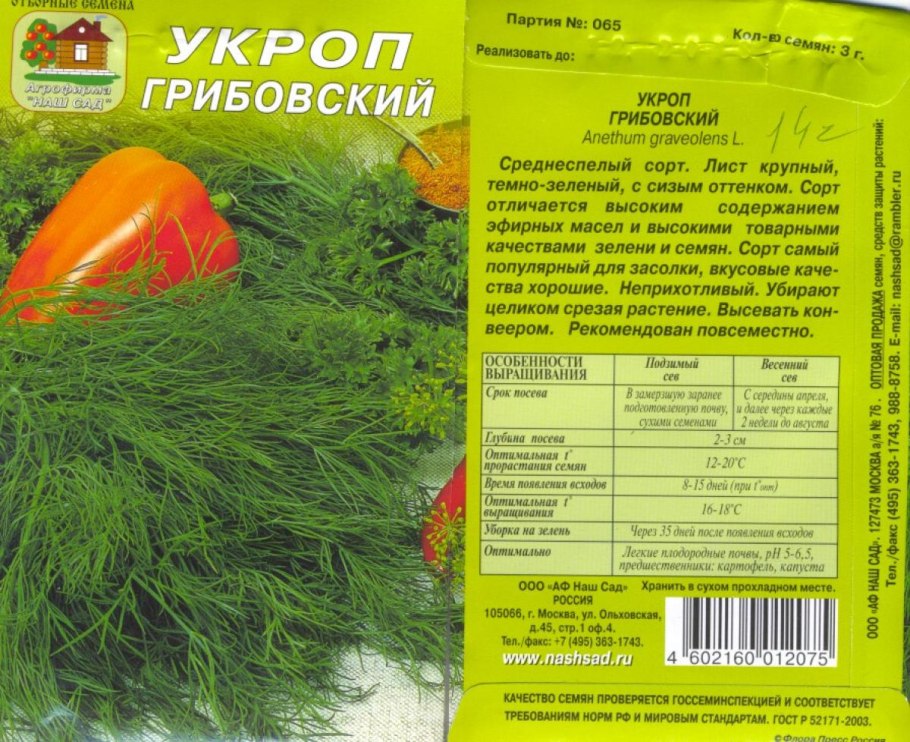 Укроп сорт Грибовский