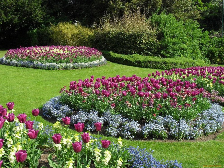 Рабатка Версаль