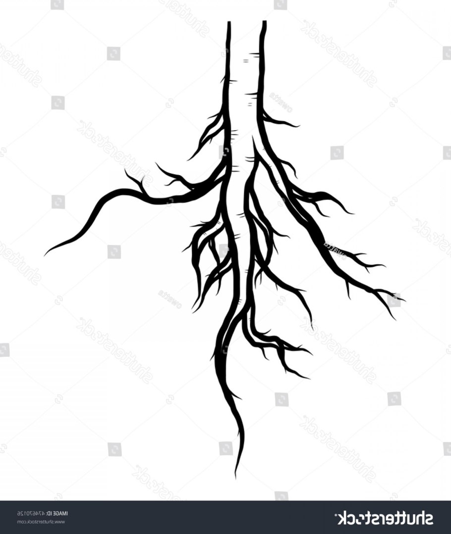 Аллоризная корневая система