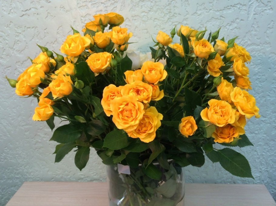 Йеллоу саммер