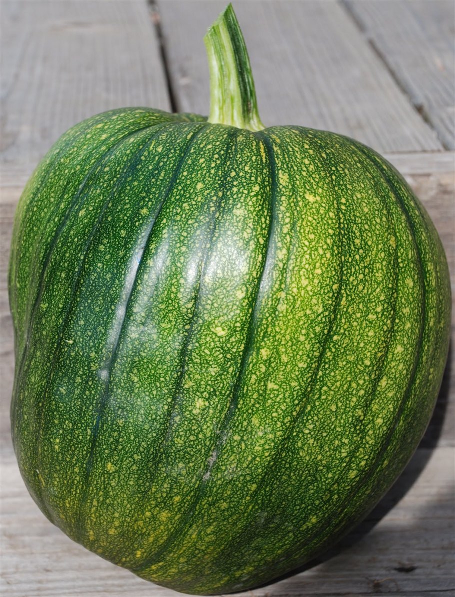 Цвет Грин Пампкин