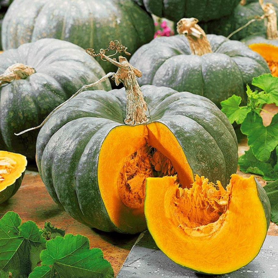 Зеленая тыква сверху