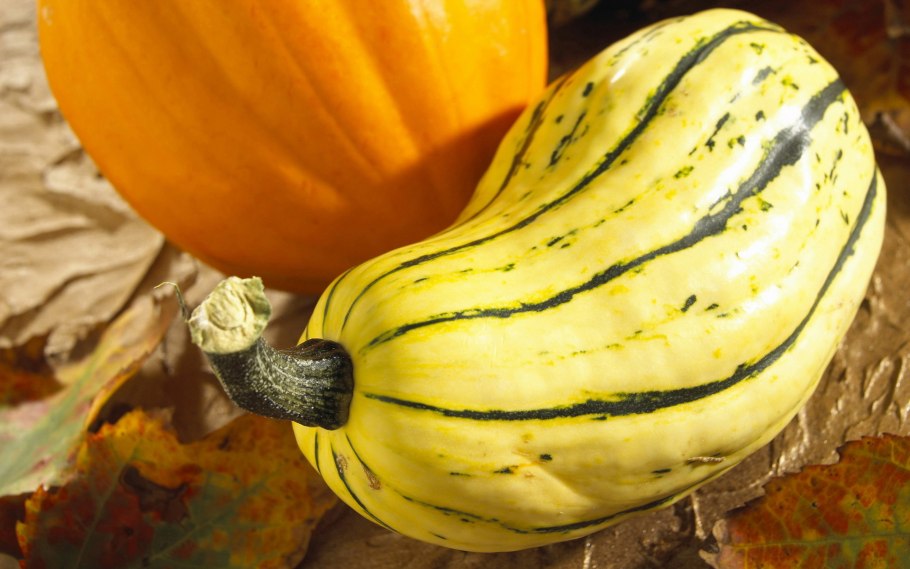 Тыква зеленая полосатая