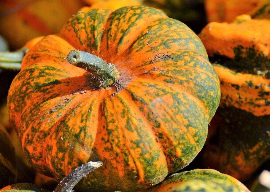 Тыква зеленая мультяшная