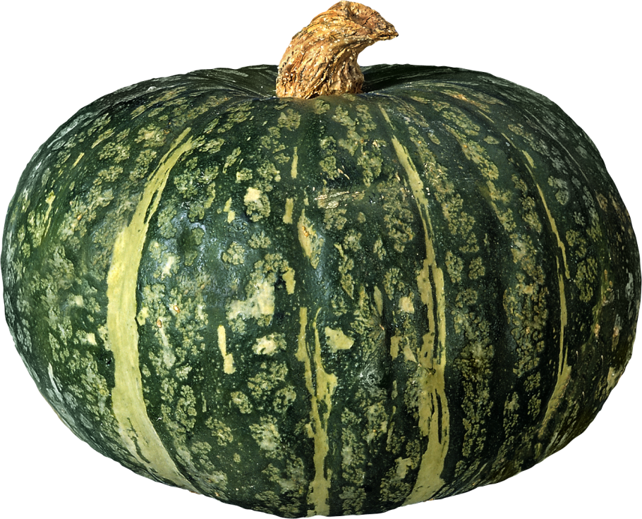 Японская тыква Кабоча