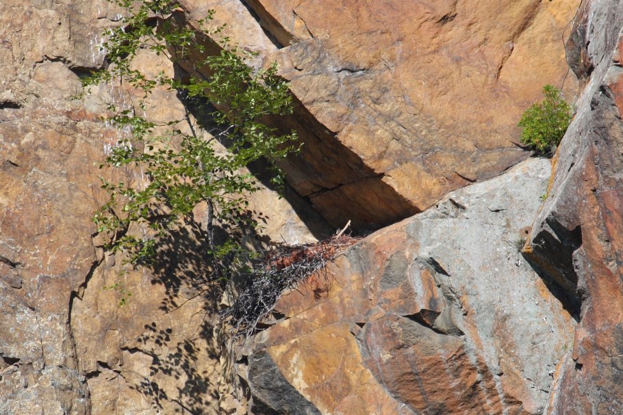 Скала из бетона