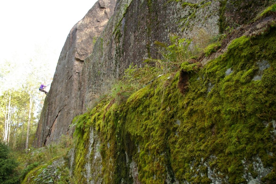 Тайгетская скала