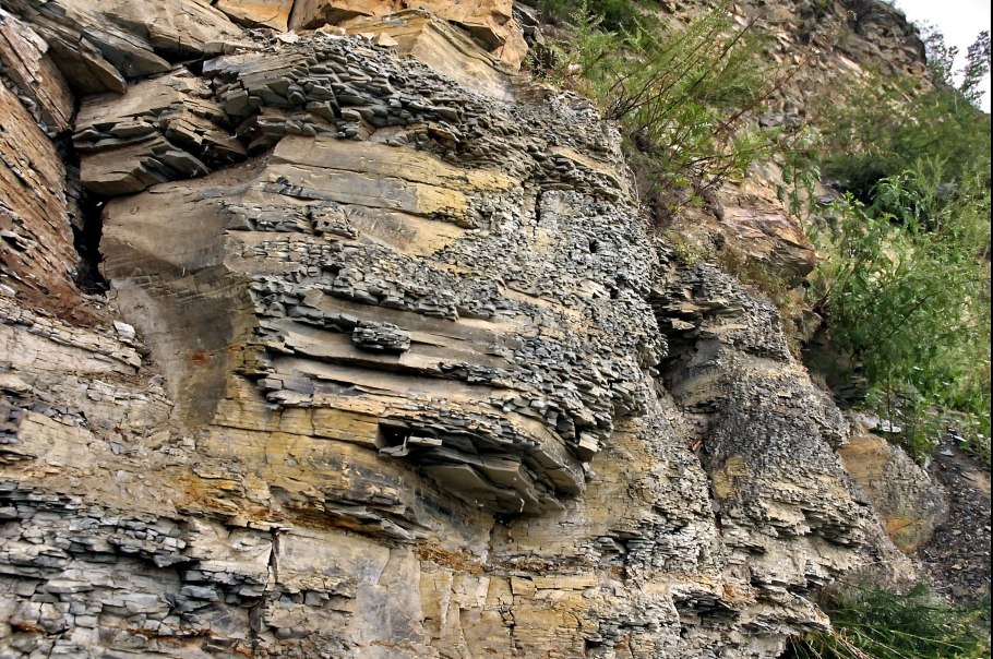 Папоротник Cubeto Stone