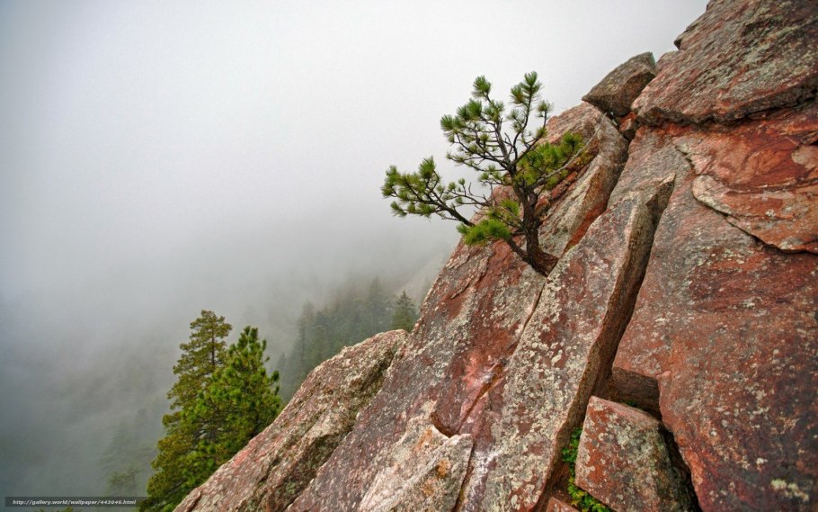 Трещины в скалах